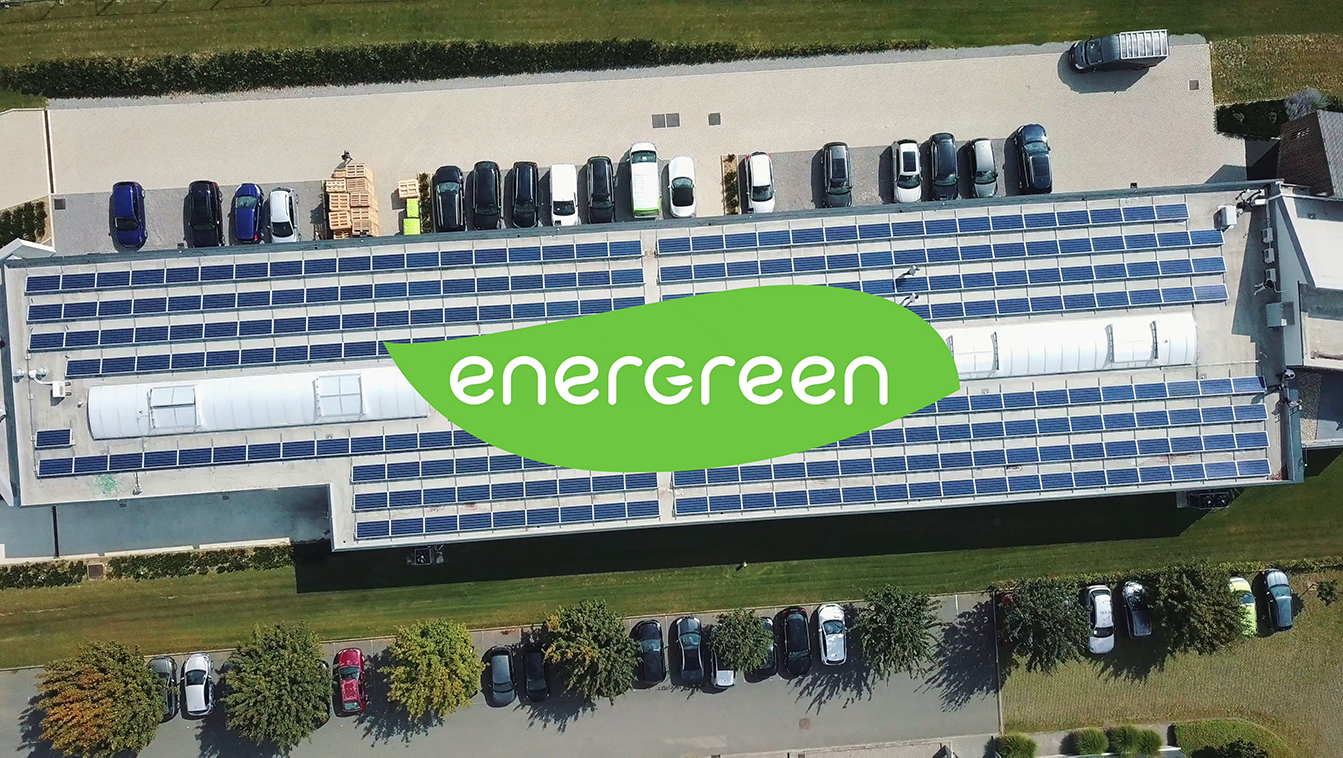 Energreen installateur photovoltaïque fête ses 10 ans