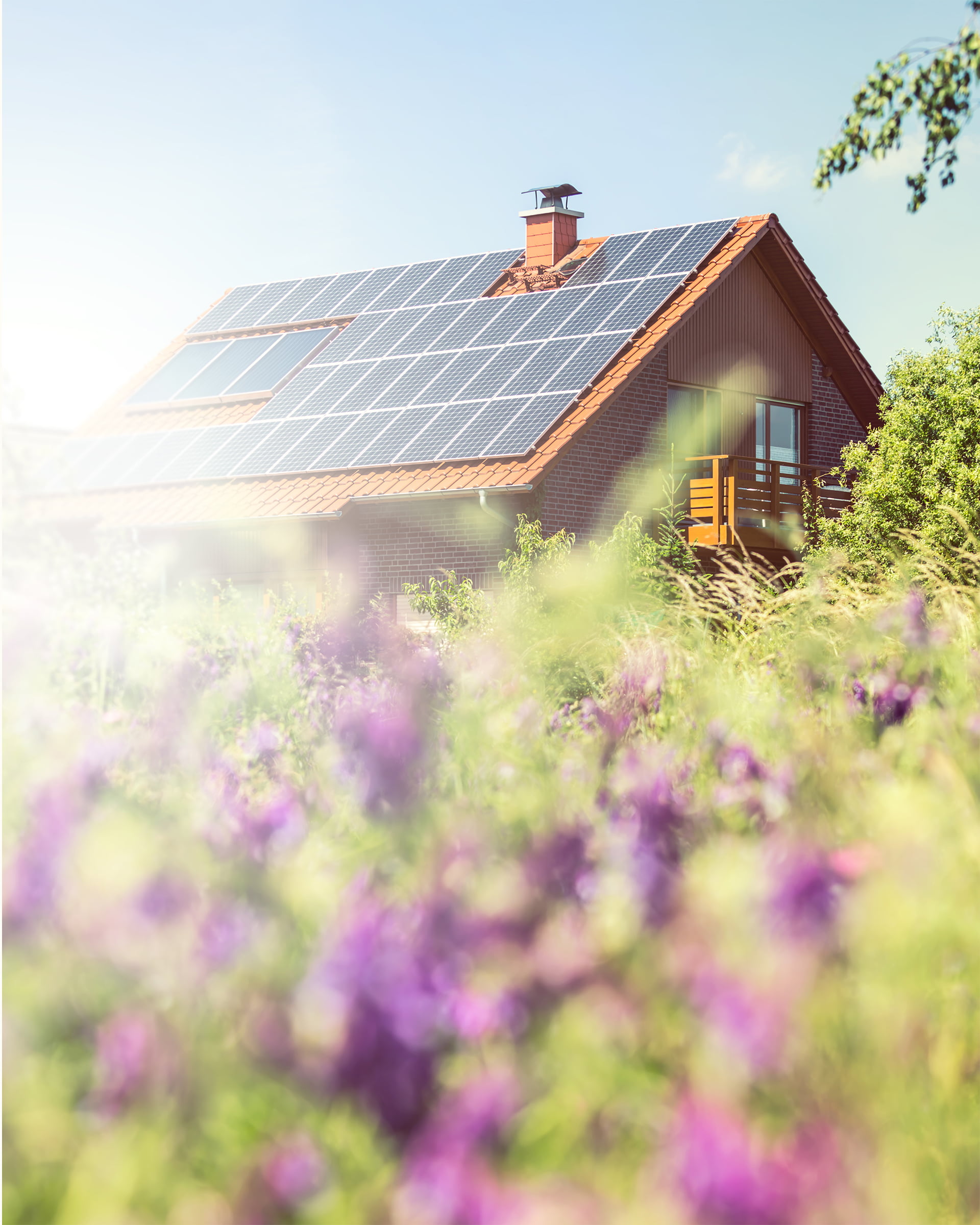 4 idées reçues sur les panneaux photovoltaïques | Energreen