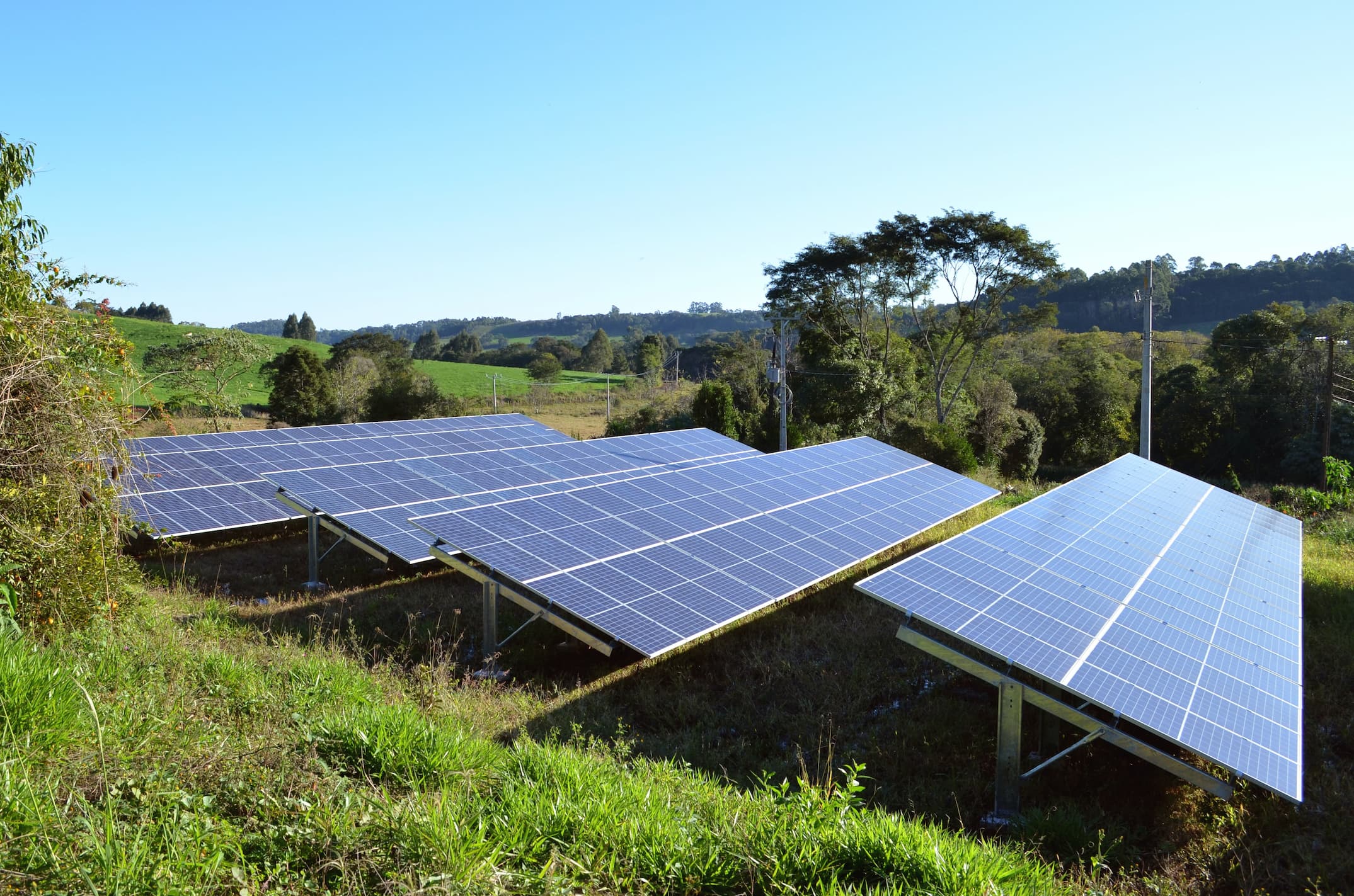 Installation de panneaux solaires photovoltaïques au sol | Energreen