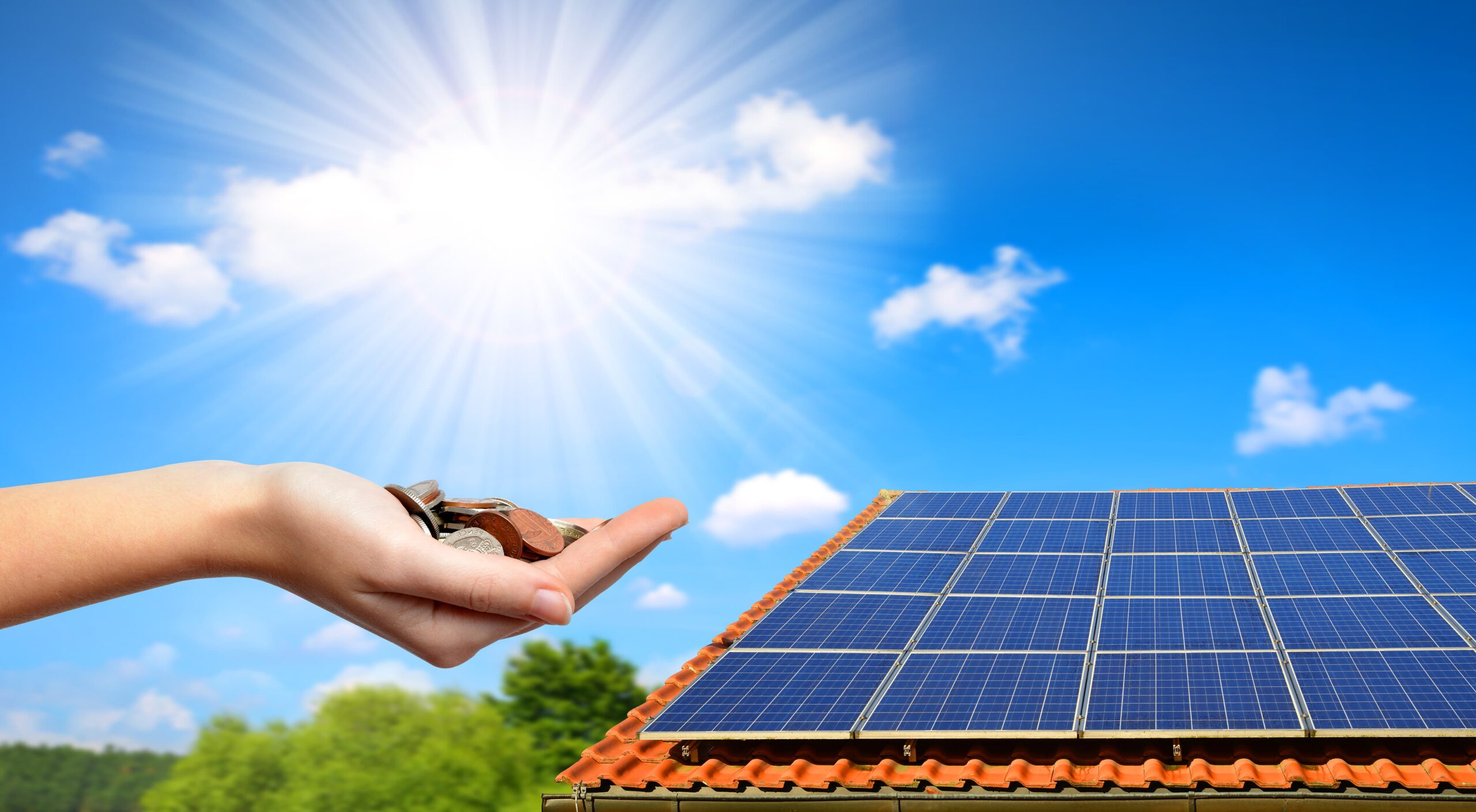 Les panneaux solaires, toujours rentables | Energreen