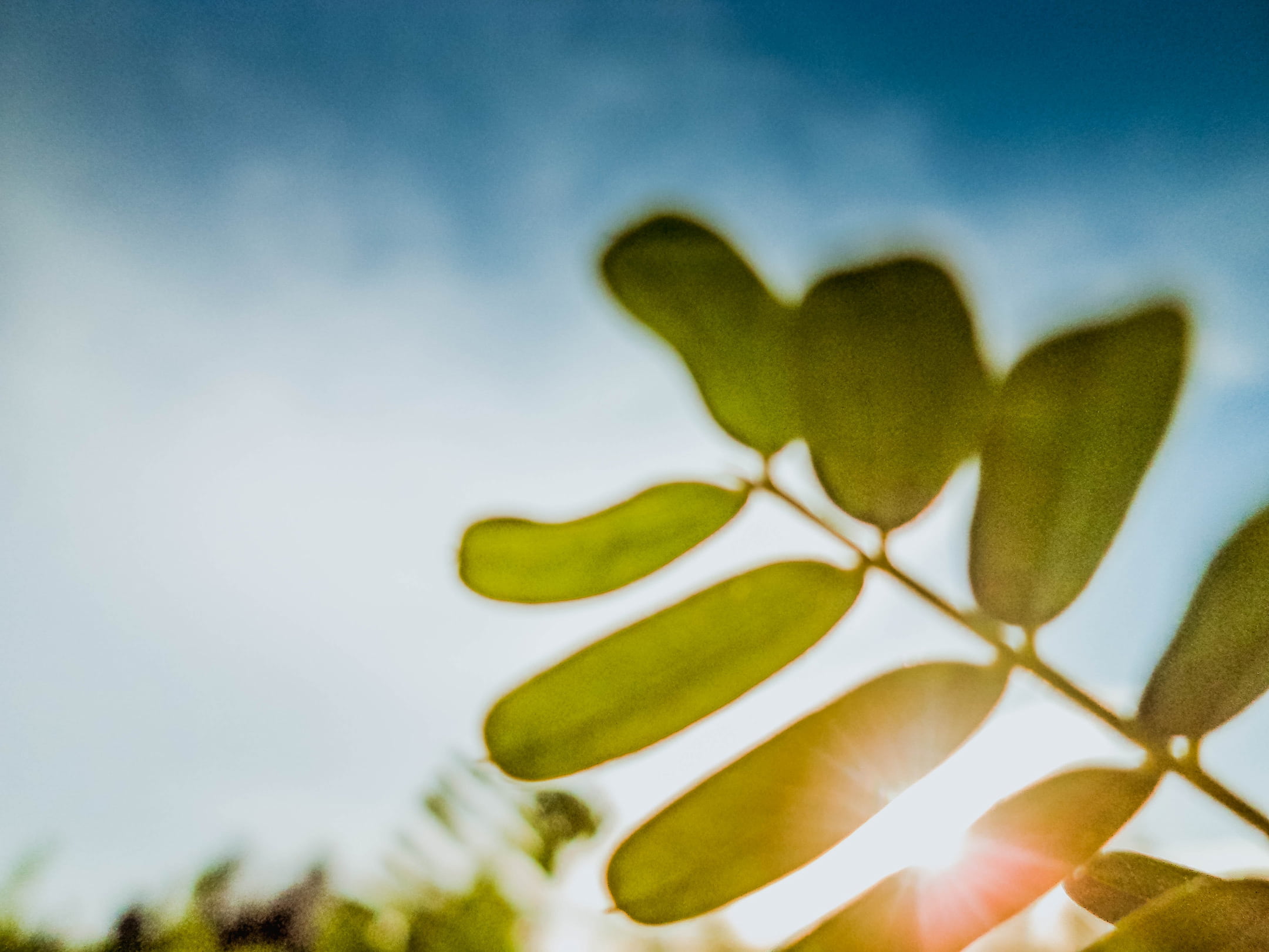 Le recyclage des panneaux solaires | Energreen