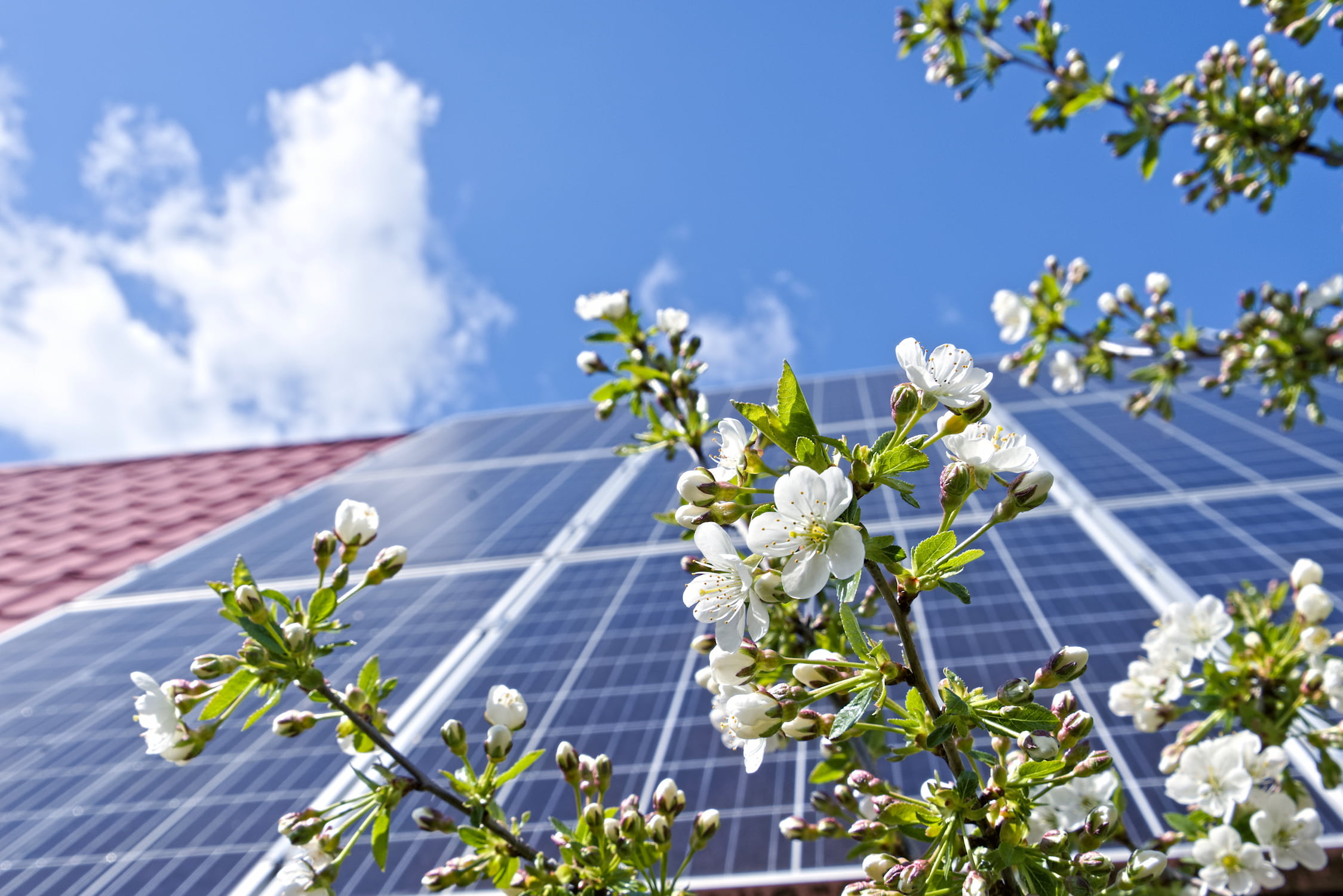 La production solaire au printemps | Energreen